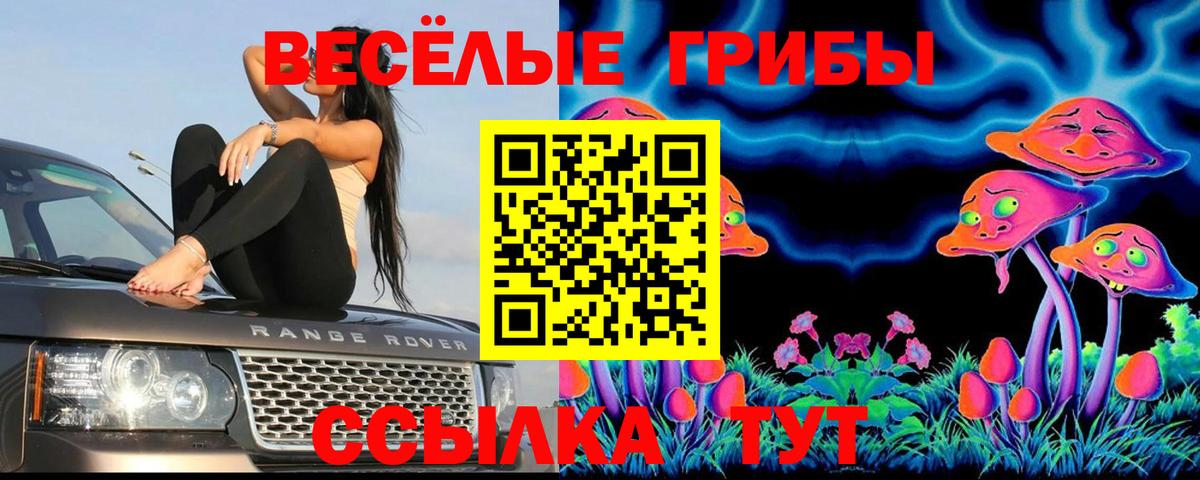 Галлюциногенные грибы Psilocybine cubensis  Вход с VPN  Нижнекамск  Галлюциногенные грибы мицелий 